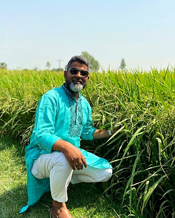 In the paddy field, Naogaon